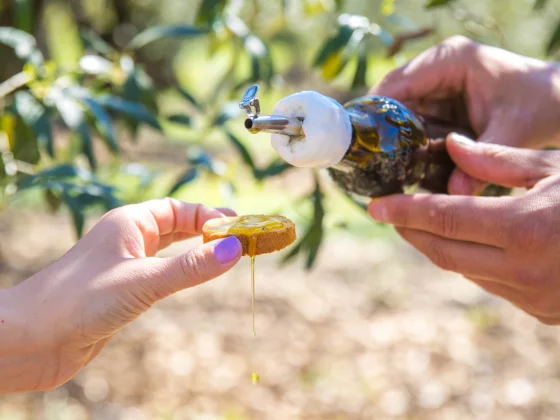 l'Ardèche épicurienne