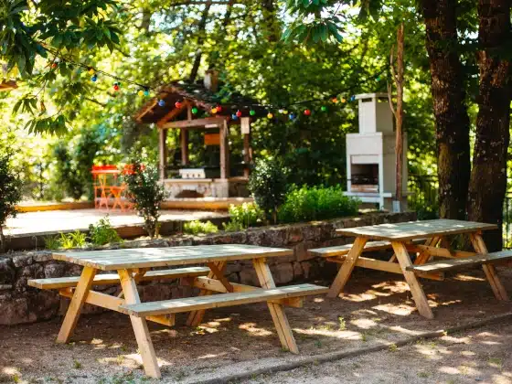 Convivialité avec terrain de pétanque et plancha