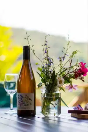 prendre son apéritif sur une terrasse en bois d'un logement insolite en Ardèche face à la nature