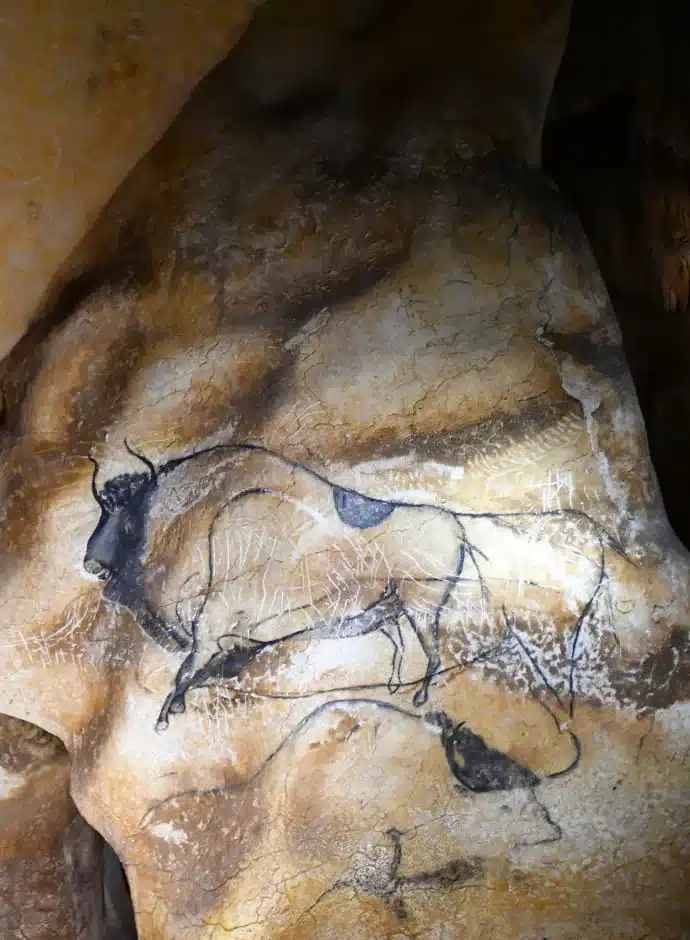 la grotte Chauvet inscrite au patrimoine mondial de l’Unesco